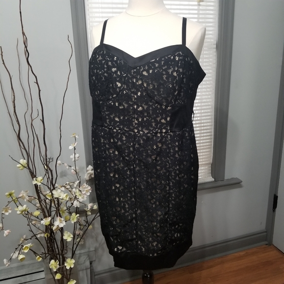 Torrid Lace Sheath Cocktail Dress